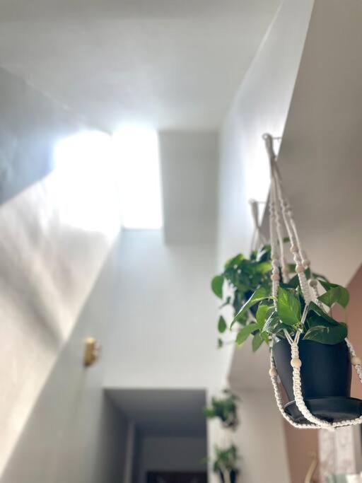 Geodis Park Apartment In Weho Nashville Dış mekan fotoğraf